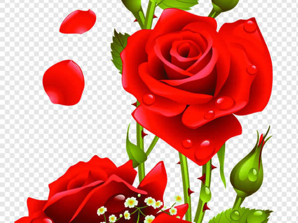Flower Arranging with Red Roses - Adding Passion and Emotion