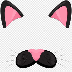 Cat Ears PNG